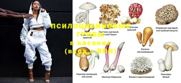 MESCALINE Тобольск